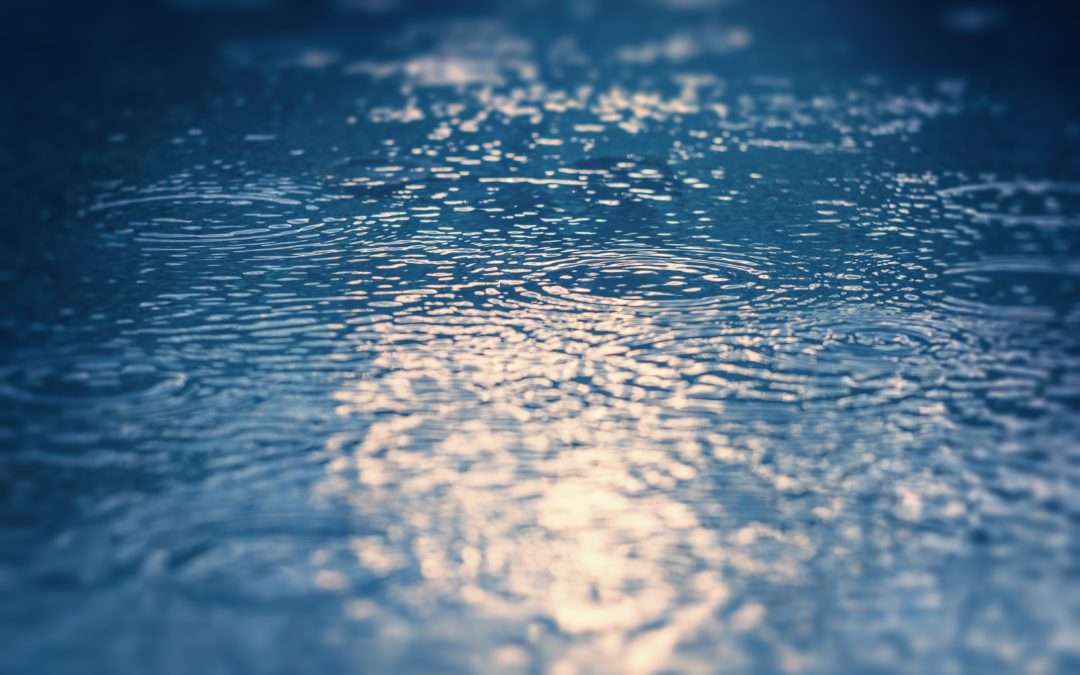 Yin yoga et bain sonore – Repas végan – samedi 26 octobre 2019