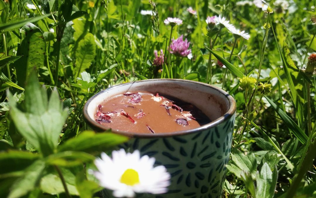 Rencontre avec le cacao sacré – avec Rebecca Jeanson – dimanche 13 juin