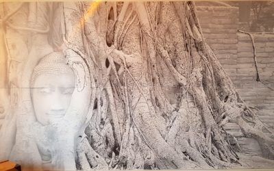 Art mural – Tête de Bouddha dans les racines de l’arbre Banyan – samedi 26 novembre de 11h15 à 12h et dés 13h.