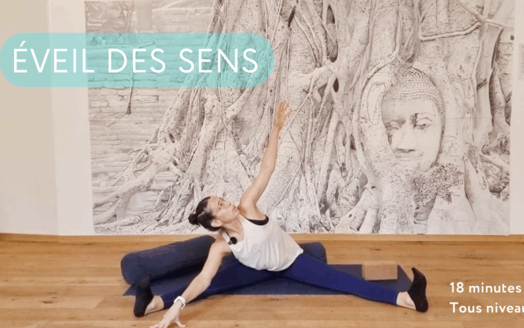Yoga Hatha Doux – 18 min | Hanches & Colonne en Éveil