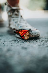 nathan-dumlao-mNLymMqX7iE-unsplash