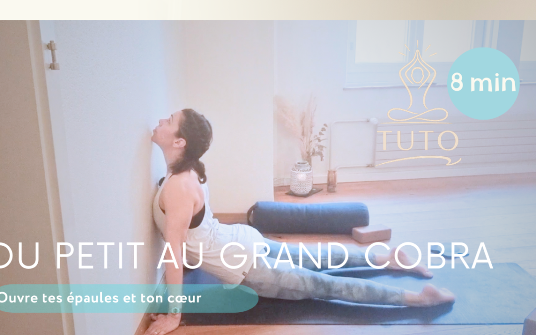 Chien tête en haut & Petit Cobra avec mur – 8 min d’ouverture des épaules 