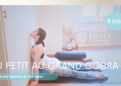 Chien tête en haut & Petit Cobra avec mur – 8 min d’ouverture des épaules 